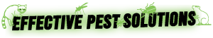 Effective Pest Solutions